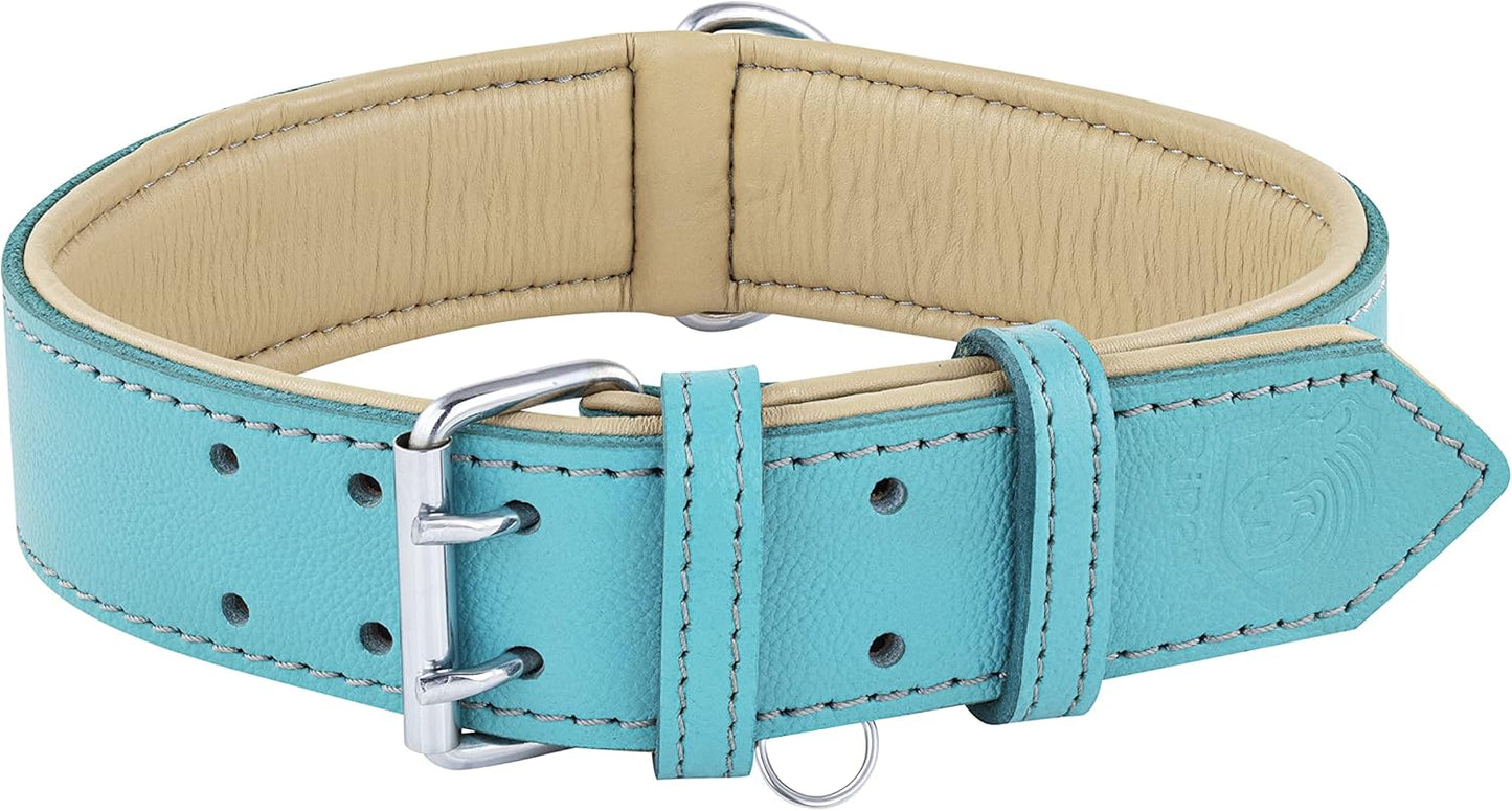 Riparo Dog Collars for Medium Dogs, Genuine Leather Dog Collar, Medium Dog Collar (M: 1" Wide for 13.5ā-17.5ā Neck, Aqua)
