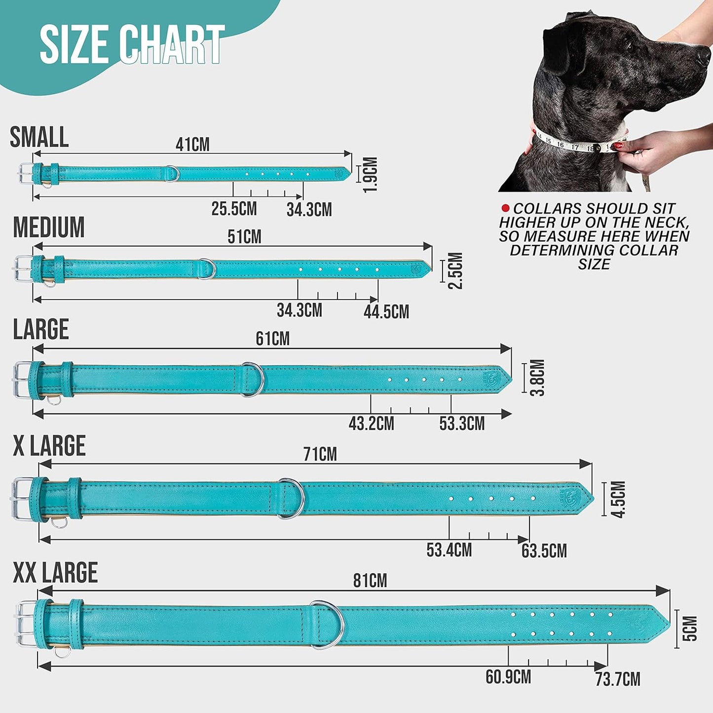 Riparo Dog Collars for Medium Dogs, Genuine Leather Dog Collar, Medium Dog Collar (M: 1" Wide for 13.5ā-17.5ā Neck, Aqua)