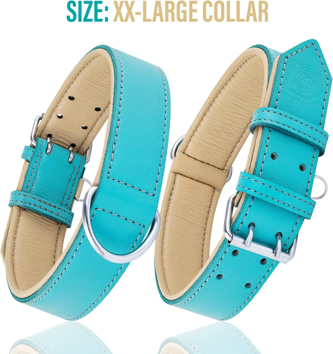 Riparo Dog Collars for Medium Dogs, Genuine Leather Dog Collar, Medium Dog Collar (M: 1" Wide for 13.5ā-17.5ā Neck, Aqua)