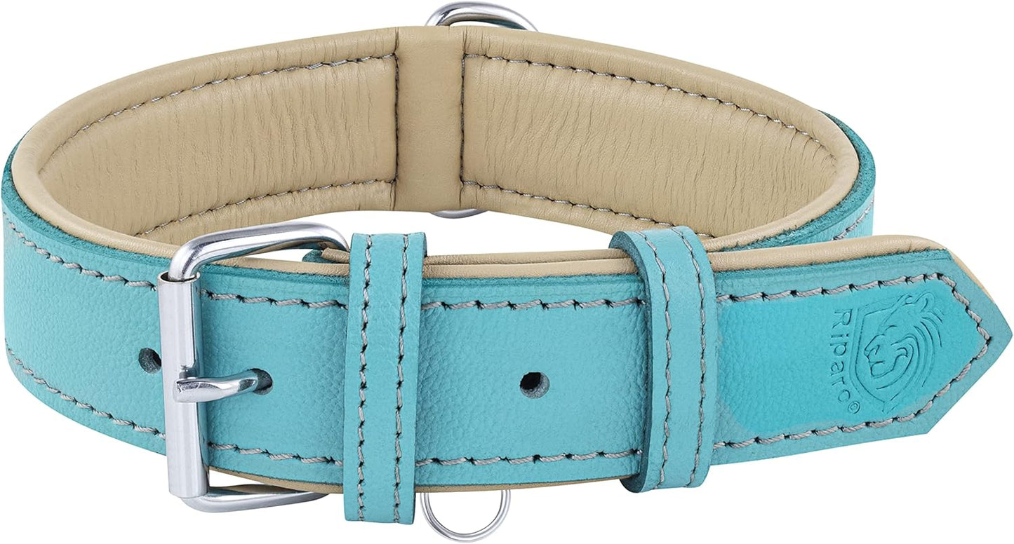 Riparo Dog Collars for Medium Dogs, Genuine Leather Dog Collar, Medium Dog Collar (M: 1" Wide for 13.5ā-17.5ā Neck, Aqua)