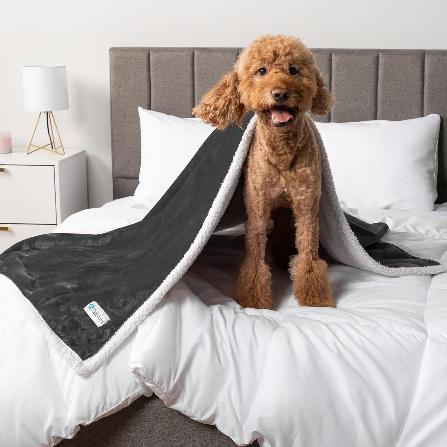 Waterproof Dog Blanket for Small Medium Dog Puppy Cat Throw for Couch Cover Leakproof Protection, Sherpa Fleece, Reversible Soft Washable 29X40 Charcoal Gray