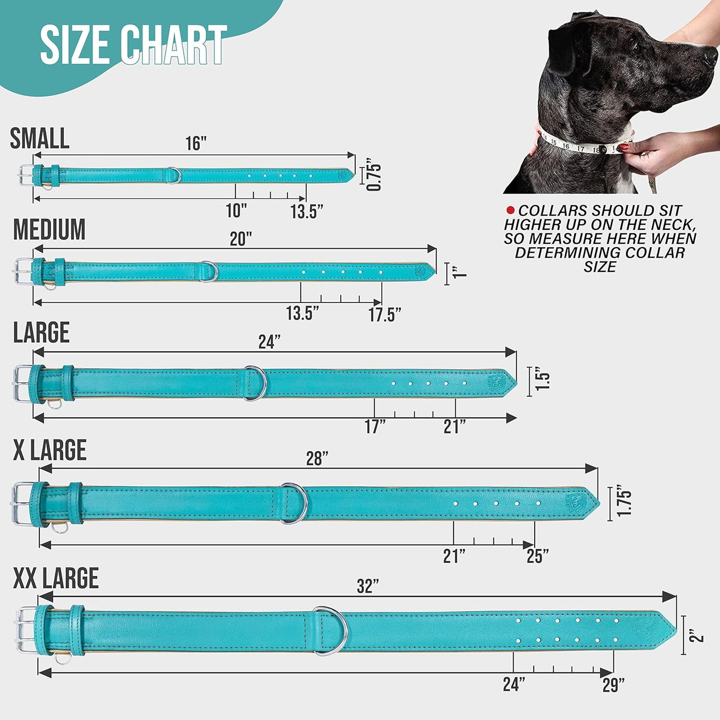 Riparo Dog Collars for Medium Dogs, Genuine Leather Dog Collar, Medium Dog Collar (M: 1" Wide for 13.5ā-17.5ā Neck, Aqua)