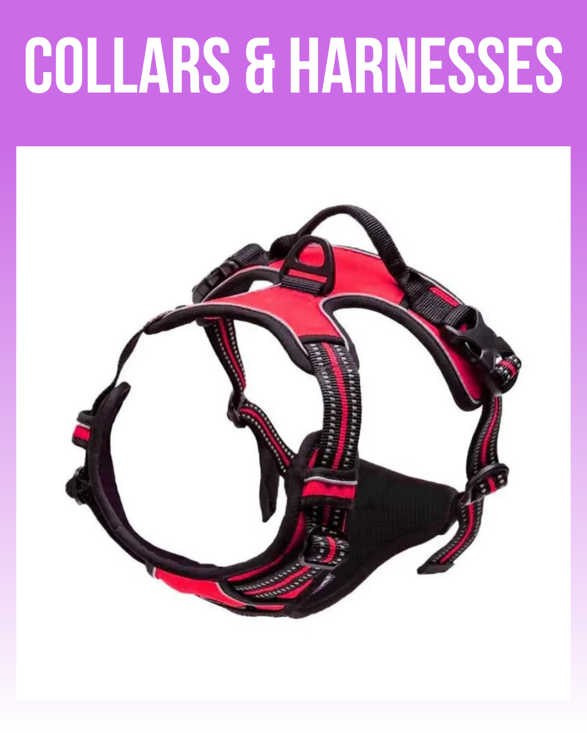 Dog Collars & Harnesses | Comfortable & Stylish by Dogify