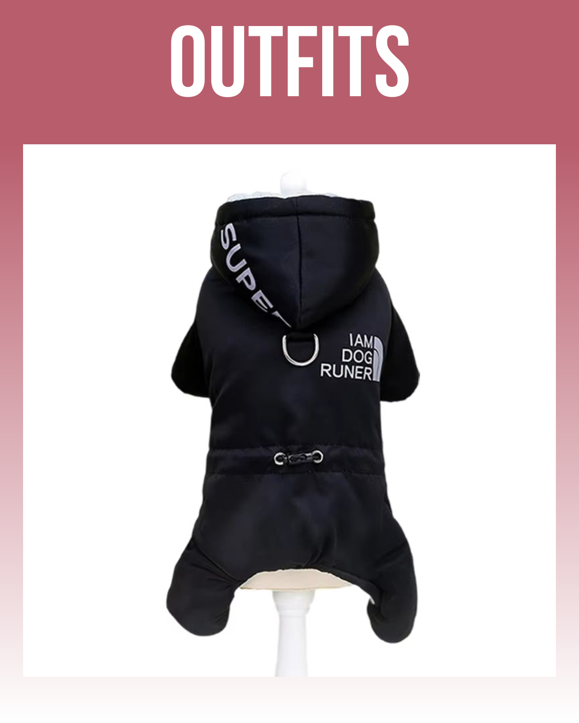 Dog Outfits & Birthday Accessories | Celebrate in Style with Dogify